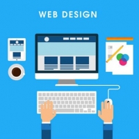Web Design Company in India 