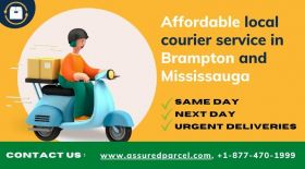 Affordable local courier service in Brampton