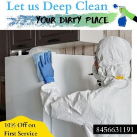 Pro Cleaning Solutions