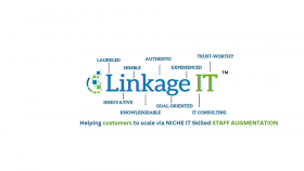 IT Staff Augmentation 