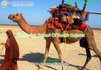 holidays in rajasthan  | Panache Tours