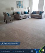 Carpet cleaning 
