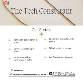 the tech consultant