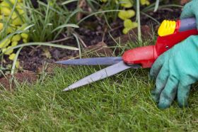 Lawn Edging