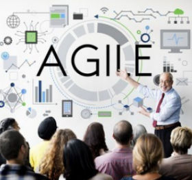 Agile Training