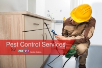 Pest control services in ahmedabad
