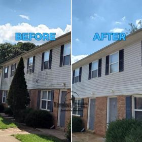 Gutter cleaning