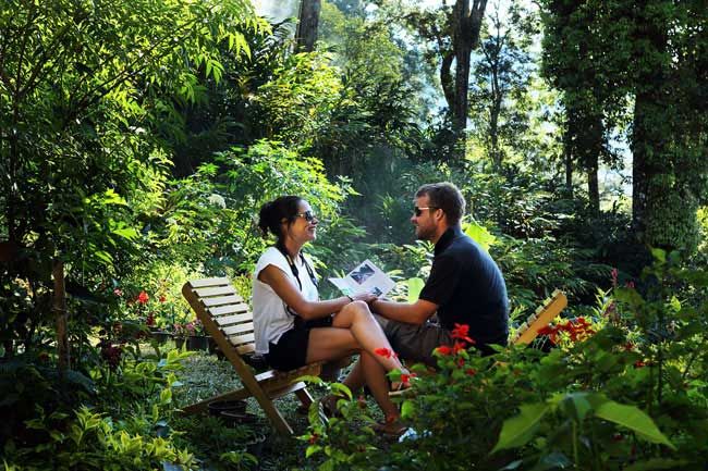 Best Kerala Honeymoon Packages