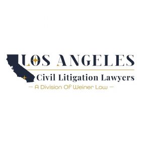 Business & Commercial Litigation