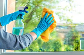 Window Cleaning Service