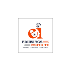 Eduwings computer institute