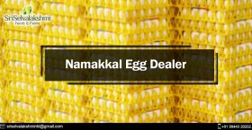 Namakkal Egg Dealer | Namakkal Egg Suppliers | Pou