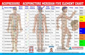  Master Diploma in Acupressure Therapy