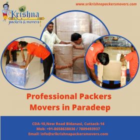 Professional Packers and Movers in Paradeep