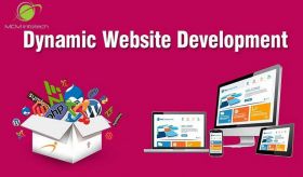 Dynamic Website Designing