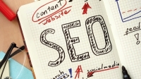 SEO services in Delhi