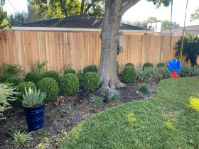 Wood Fences,