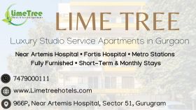 Affordable Studio Service Apartments for Rent