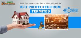 Termite Control Service