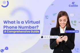 Virtual Phone Number