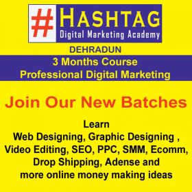 3 Months professional digital marketing course