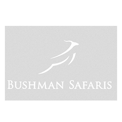 Bushman Safaris