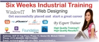 Web Design Training in Chandigarh - Windowit