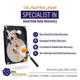 Professionally recover data Hex Technology