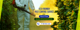 Pest control service