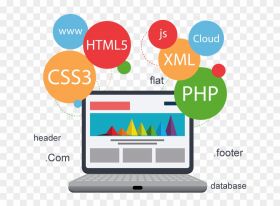 Website Design, We Development and SEO Services 