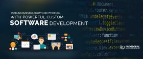 CUSTOM SOFTWARE DEVELOPMENT COMPANY IN INDIA