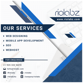 Riolabz software development