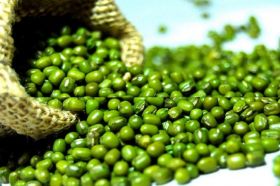 Indian Dals & Pulses|Buy Pulses Online from India