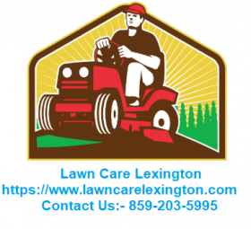 Lawn Care Lexington