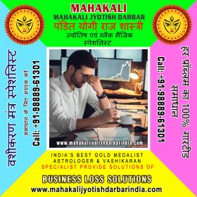 Business Loss Solutions in India Punjab +91-988896