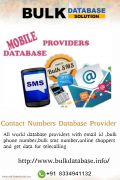 bulkdatabase provider