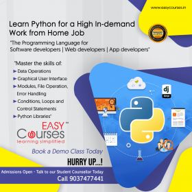  Professional Training on Python 