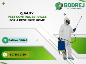 pest care service in Bengalore 