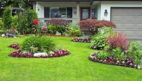 Landscape Services in Indore