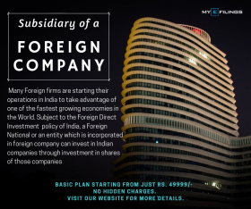 Subsidiary of a Foreign Company
