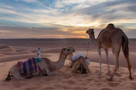 Secret Arabia