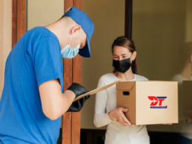 Domestic Parcel Delivery Service