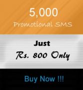 Promotional SMS Service