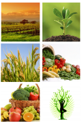 Organic Farming Awareness and Program