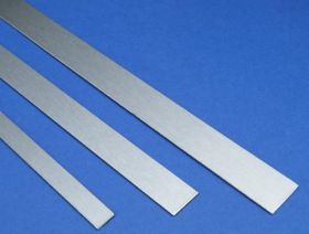 Stainless Steel Strips