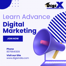 Digital Marketing Course in Faridabad