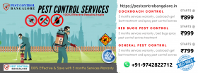 Pest Control Services