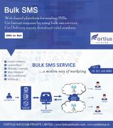 Bulk Sms Service