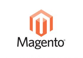 Magento Developer