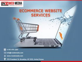 Website Designing and development services